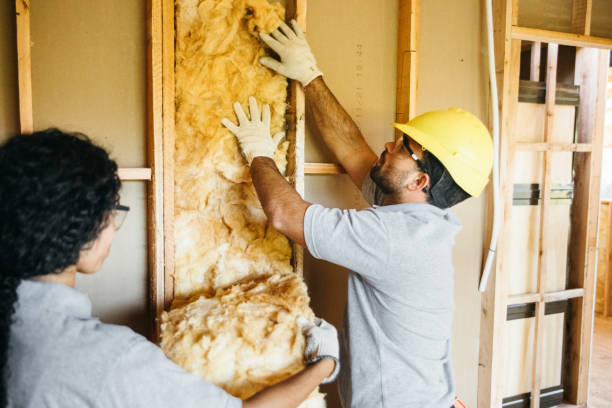 Best Soundproof Insulation Installation  in Woodburn, VA