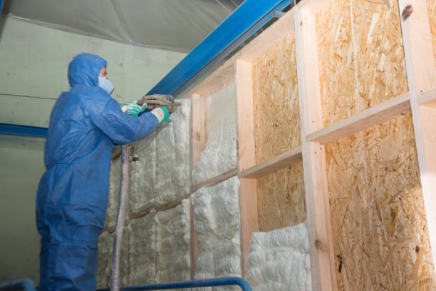 Best Crawl Space Insulation  in Woodburn, VA
